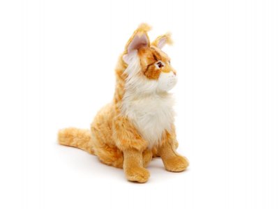 Katt mjukisdjur Maine Coon 31 cm UNI