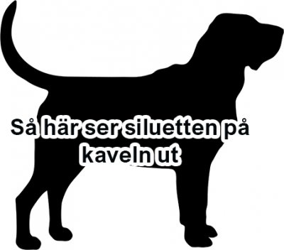 Blodhund kavel