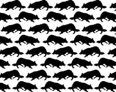 Border collie mini-kavel 1
