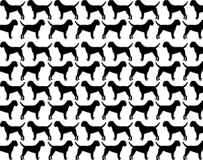 Borderterrier kavel