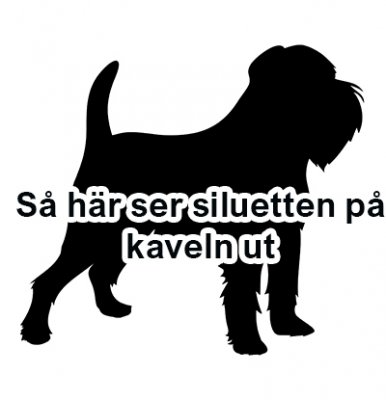Griffon bruxellois kavel