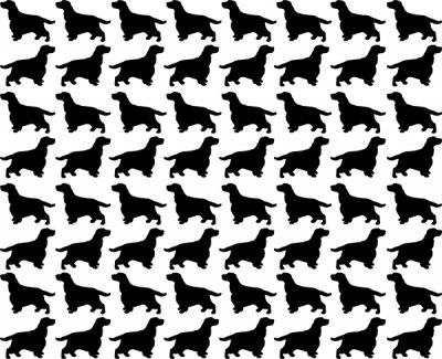 Cocker spaniel kavel