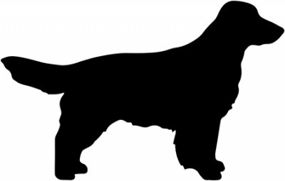 Field spaniel kavel två storlekar u