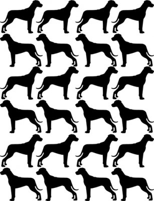 Rhodesian ridgeback kavel 1 två storlekar