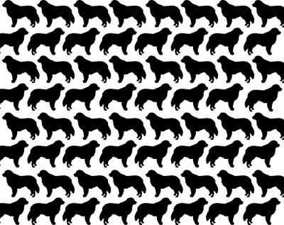 Pyreneisk mastiff kavel