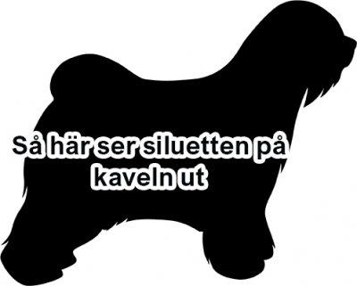 Tibetansk terrier kavel