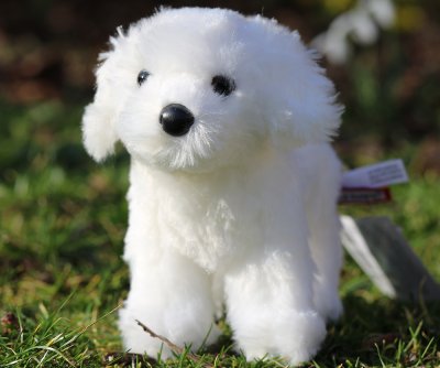 Bichon frisé mjukisdjur