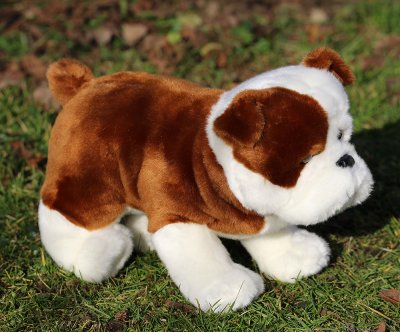 Engelsk bulldogg mjukisdjur Hardy Douglas