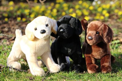 Labrador retriever mjukisdjur