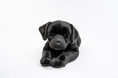 Labrador retriever (svart) mjukisdjur med sele 60 cm UNI