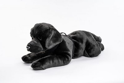 Labrador mjukisdjur