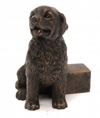 Newfoundlandshund krukfötter 3-pack