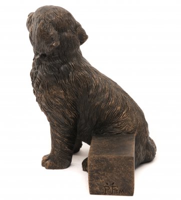 Newfoundlandshund krukfötter 3-pack