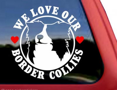 Border collie bildekal