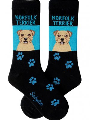 Norfolkterrier strumpor olika storlekar Sam