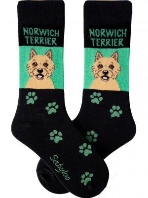 Norwichterrier strumpor olika storlekar Sam