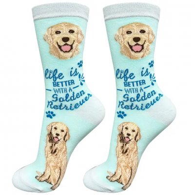 Golden retriever strumpor 1-pack ES 3