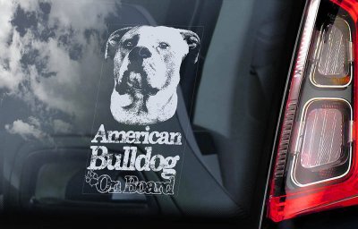 American bulldog bildekal