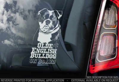 Olde english bulldogge bildekal