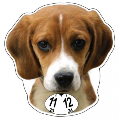Beagle p-skiva parkeringsskiva