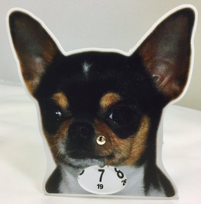 Chihuahua p-skiva parkeringsskiva