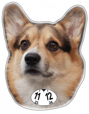 Welsh corgi pembroke p-skiva