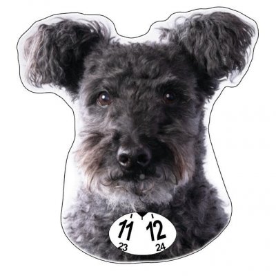 Pumi p-skiva parkeringsskiva