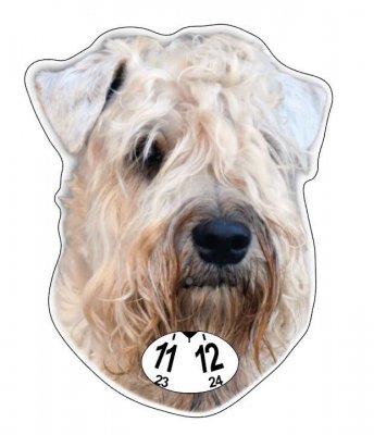 Irish softcoated wheaten terrier p-skiva parkeringsskiva