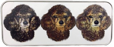 Pennskrin, olika färger