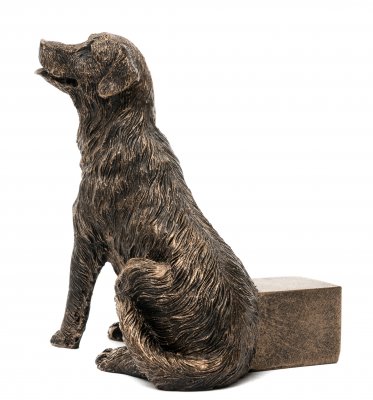 Golden retriever krukfötter 3-pack 2