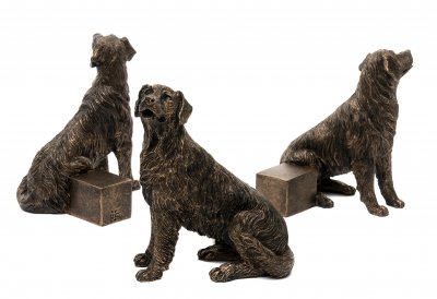 Golden retriever krukfötter 3-pack 2