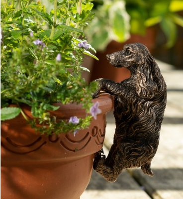 Cocker spaniel- Pot Buddy 1-pack