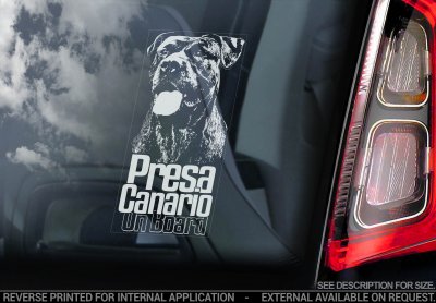 Presa canario bildekal