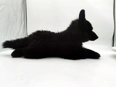 Tysk schäferhund (svart) / Varg mjukisdjur 56 cm Zeus Prime Shiba