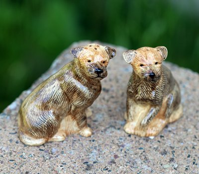 Borderterrier salt & pepparkar