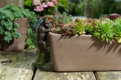 Fransk bulldogg Pot Buddy 1-pack