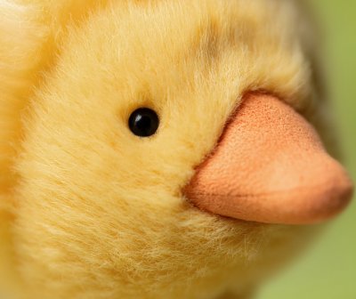 Anka mjukisdjur Dorit Duckling JellyCat