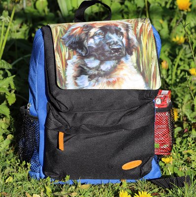 Ryggsäck till barn - blå eller röd