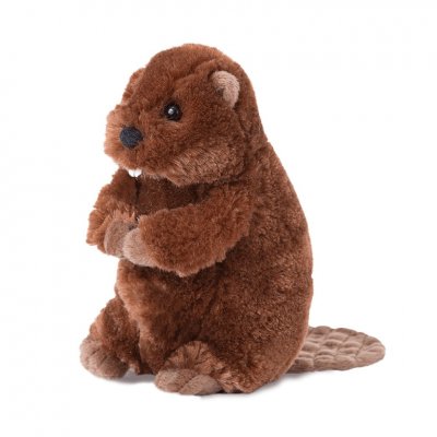 Bäver mjukisdjur Buddy Beaver Douglas