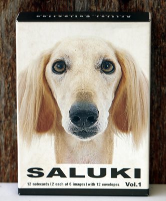 Saluki kort med kuvert