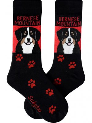 Berner sennenhund strumpor olika storlekar Sam