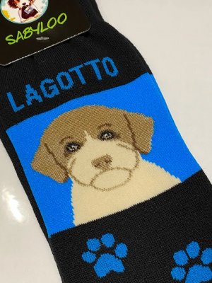 Lagotto romagnolo strumpor olika storlekar Sam