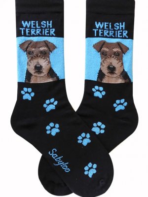 Welshterrier strumpor olika storlekar Sam