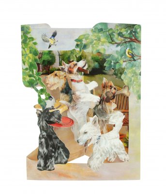 Santoro swing cards
