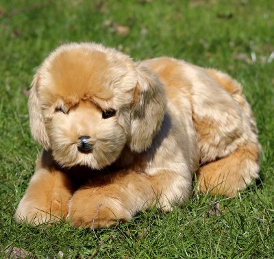 Golden retriever mjukisdjur