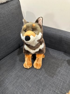 Shikoku mjukisdjur 38 cm Haku Prime Shiba
