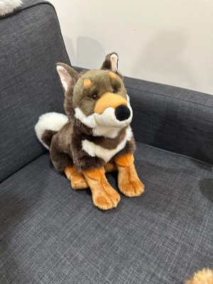 Shikoku mjukisdjur 38 cm Haku Prime Shiba