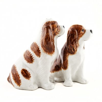 Cavalier king charles spaniel (blenheim) salt & pepparkar x