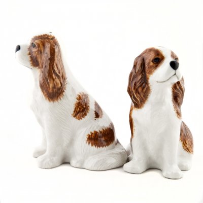 Cavalier king charles spaniel (blenheim) salt & pepparkar x