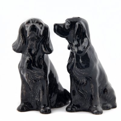 Cocker spaniel- salt & pepparkar